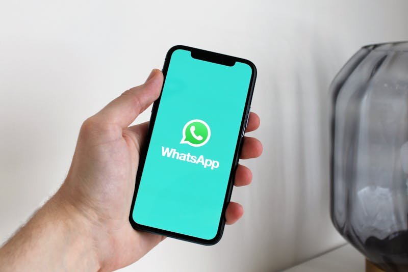 Os melhores grupos de WhatsApp de animes para entrar ainda hoje